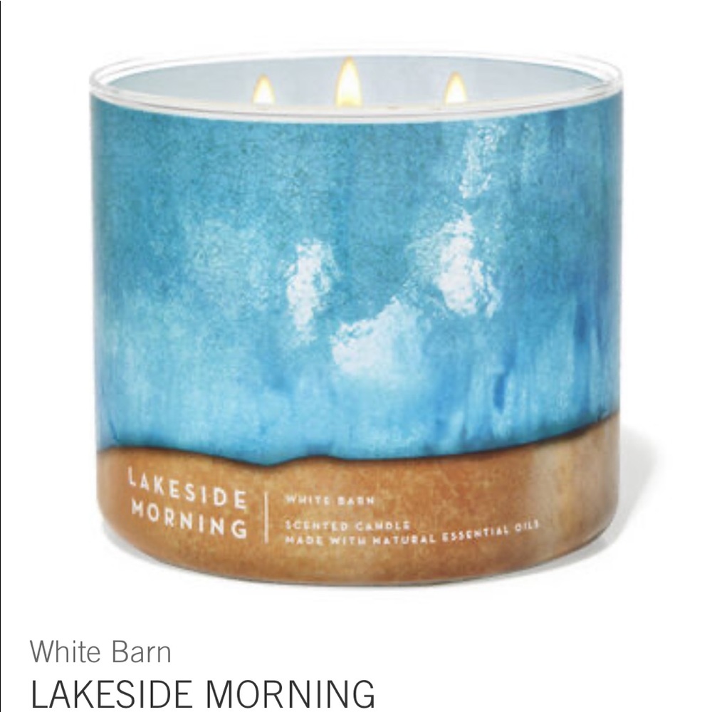 🥳HP🎉BBW Candle